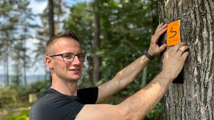 Ein Mann, der ein Hinweisschild an einen Baum klebt