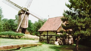 Eine landschaftliche Szene mit der historischen Bockmühle auf der linken Seite und einem altertümlichen Wohnhaus auf der rechten. Beide Gebäude stehen im Freilichtmuseum Mühlenhof in Münster.