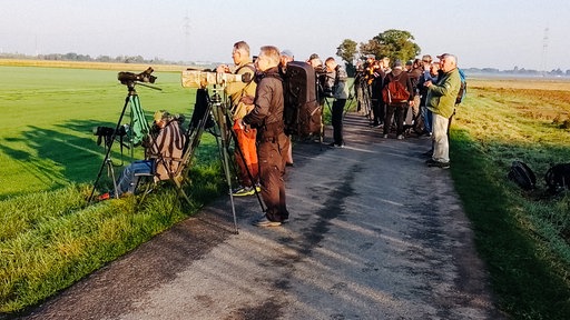 Viele Person auf einem Feldweg. Einige halten in der Hand eine Kamera. Links und rechts eine grüne Wiese