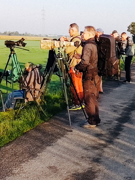 Viele Person auf einem Feldweg. Einige halten in der Hand eine Kamera. Links und rechts eine grüne Wiese