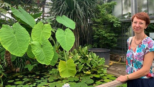 Die Leiterin der Botanischen Gärten in Bonn Cornelia Löhne steht in einem Pflanzenhaus.