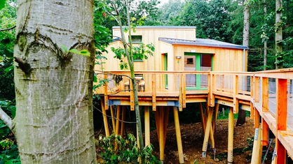 Eine Baumhaus-Jugendherberge im Naturerlebnispark