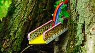 Ein Elfenhäuschen mit gelber Treppe hängt an einem Baum