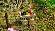 Obstwagen auf dem Elfenweg