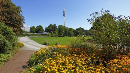 Im Vordergrund bunte Blumen und eine große Wiese, im Hintergrund vor blauem Himmel der Florianturm im Dortmunder Westfalenpark