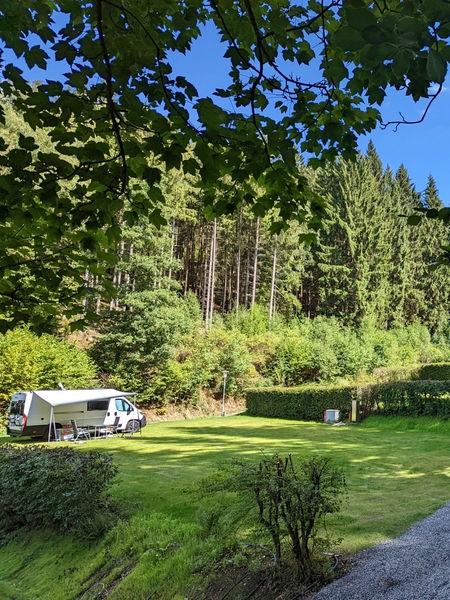 Wohnmobile stehen zwischen Bäumen auf dem Campingplatz.