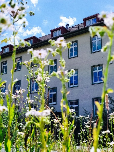 Die Hammersmith-Kaserne in Herford von außen. Zwischen den Bodenplatten im Vordergund wachsen wilde Pflanzen.