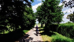 Ein Fahrradfahrer fährt an Bäumen und Feldern entlang