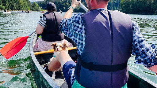 Ein kleiner Hund und zwei Personen in einem Kanu