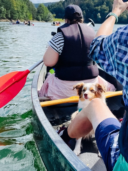 Ein kleiner Hund und zwei Personen in einem Kanu