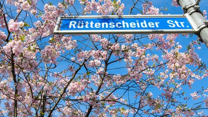 Ein Straßenschild mit der Aufschrift "Rüttenscheider Straße" ist umgeben von weiß und rosa blühenden Kirschblüten