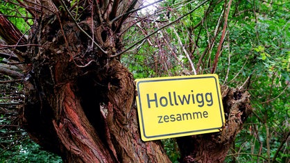 Nahaufnahme einer Weide, in den Ästen hängt ein Schild mit der Aufschrift "Hollwigg zesamme"