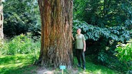 Ein Mann steht neben einem riesigen Baumstamm