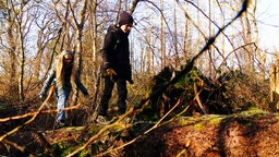 Kinder balancieren bei einem Spaziergang durch die Wahner Heide über einen Baumstamm.