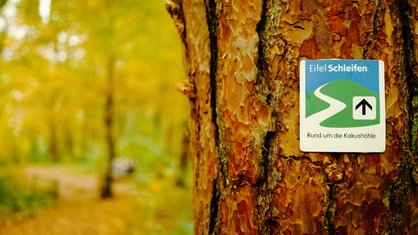 An einem Baum hängt ein Schild mit der Aufschrift "EifelSchleifen - Rund um die Kakushöhle"