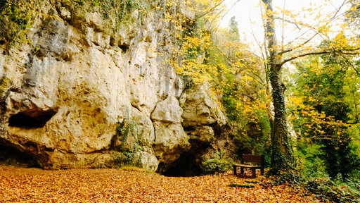 Ein grauer Felsen inmitten einer herbstlichen Waldumgebung. Neben einem Baum steht eine braune Parkbank.