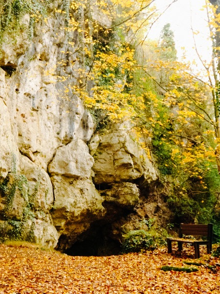 Ein grauer Felsen inmitten einer herbstlichen Waldumgebung. Neben einem Baum steht eine braune Parkbank.