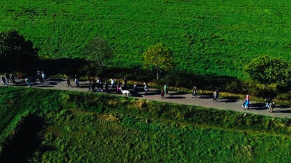 Drohnenfoto einer Wandergruppe samt Alpakas in der Eifel