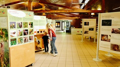 Melina Krause und ihr Sohn in der Ausstellungshalle der Biologischen Station.