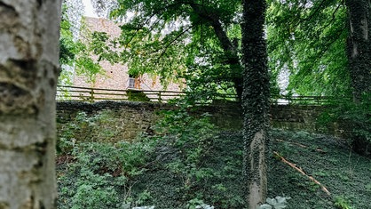 Ein Waldabschnitt. Im Hintergrund die Überreste einer Burg