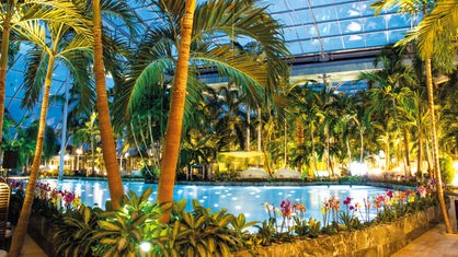 Unter einer großen Glaskuppel befindet sich ein Schwimmbecken, das von Palmen umgeben ist