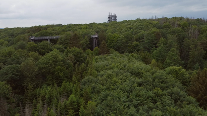 Ein Drohnenflug auf die Aussichtsplattform des Baumwipfelpfads Panarbora im Bergischen Wald bei Waldbröl.