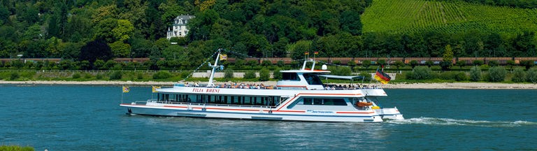 Ein Fahrgastschiff auf dem Rhein vor dem Drachenfels