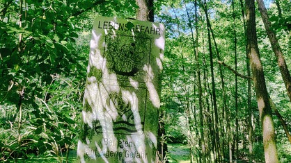 Schild mit Aufschrift "Lebensgefahr" vor einem verwilderten Freibad