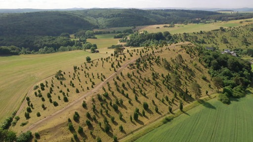 Der Kalvarienberg von oben - der Berg ist Teil des Wanderweges "Eifelspur Toskana"