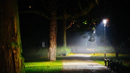 Der Schlossgarten Münster bei Nacht, eine Parkleuchte erhellt den Gehweg.