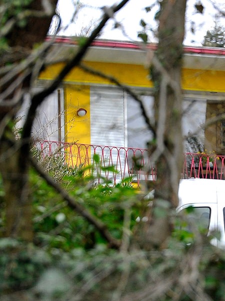Durch Bäume ist das Wohnhaus des getöteten Unternehmer-Paars zu sehen