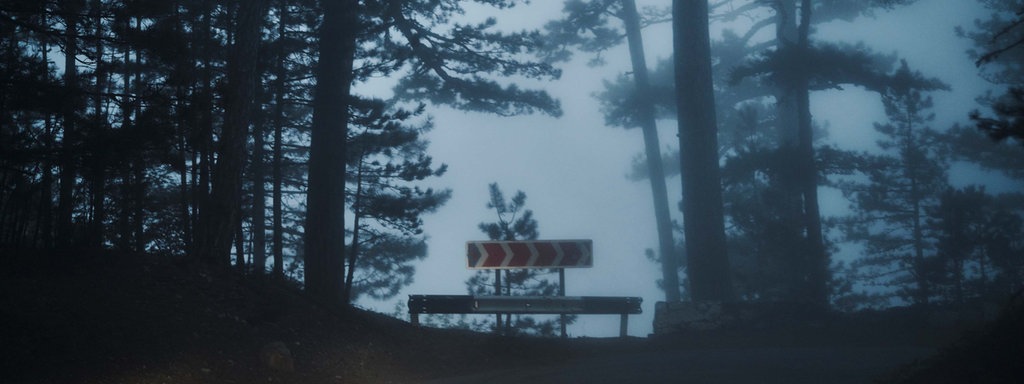 Ein Absperrungsschild in einem Wald bei Nacht.