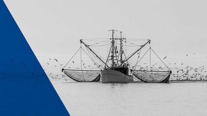 Das Beitragsbild des ARD Radiofeature "Kampf an der Nordsee" zeigt einen Fischkutter auf der Nordsee mit ausgelegten Netzen.