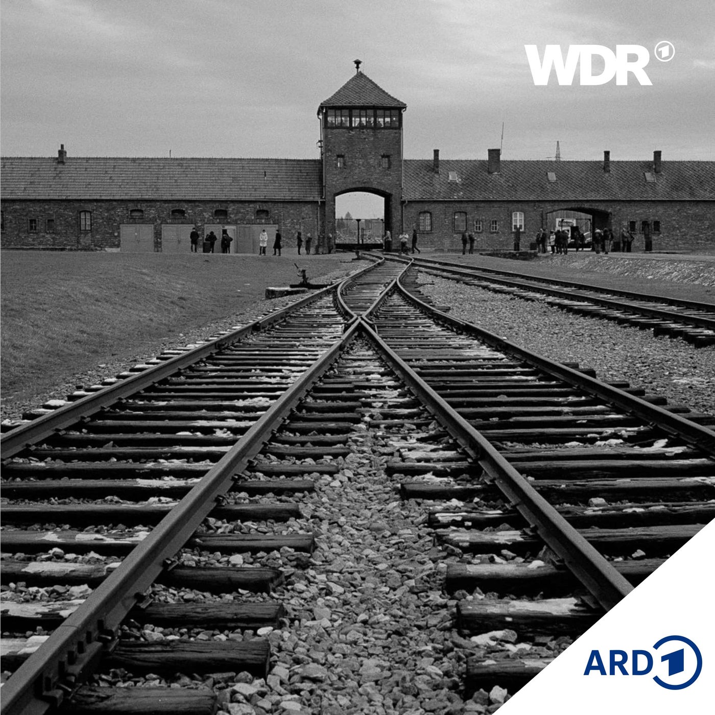 Auschwitz. Stimmen (3/3): Die SS/ Der Widerstand