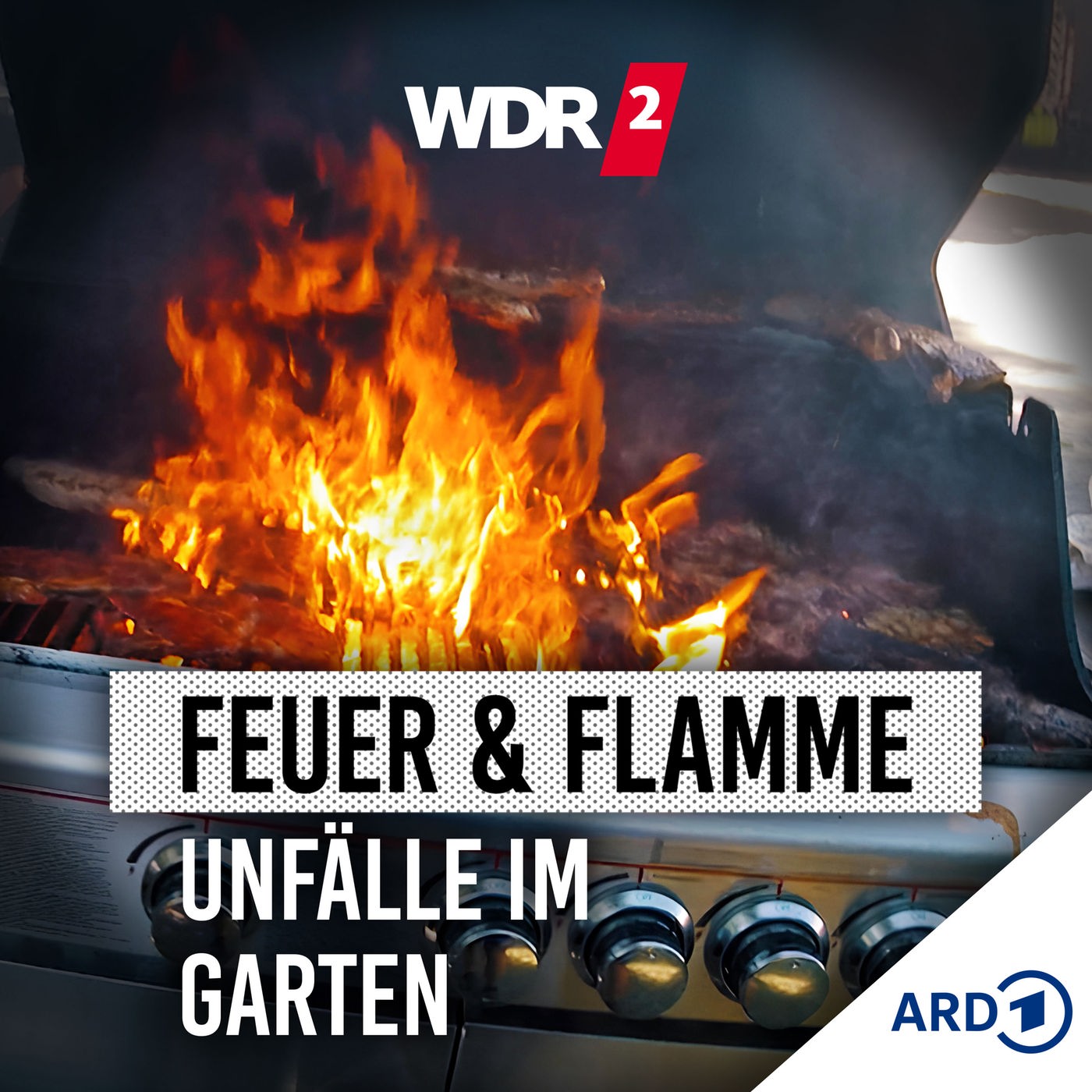 Unfälle im Garten! Leiter, Grill und Säge