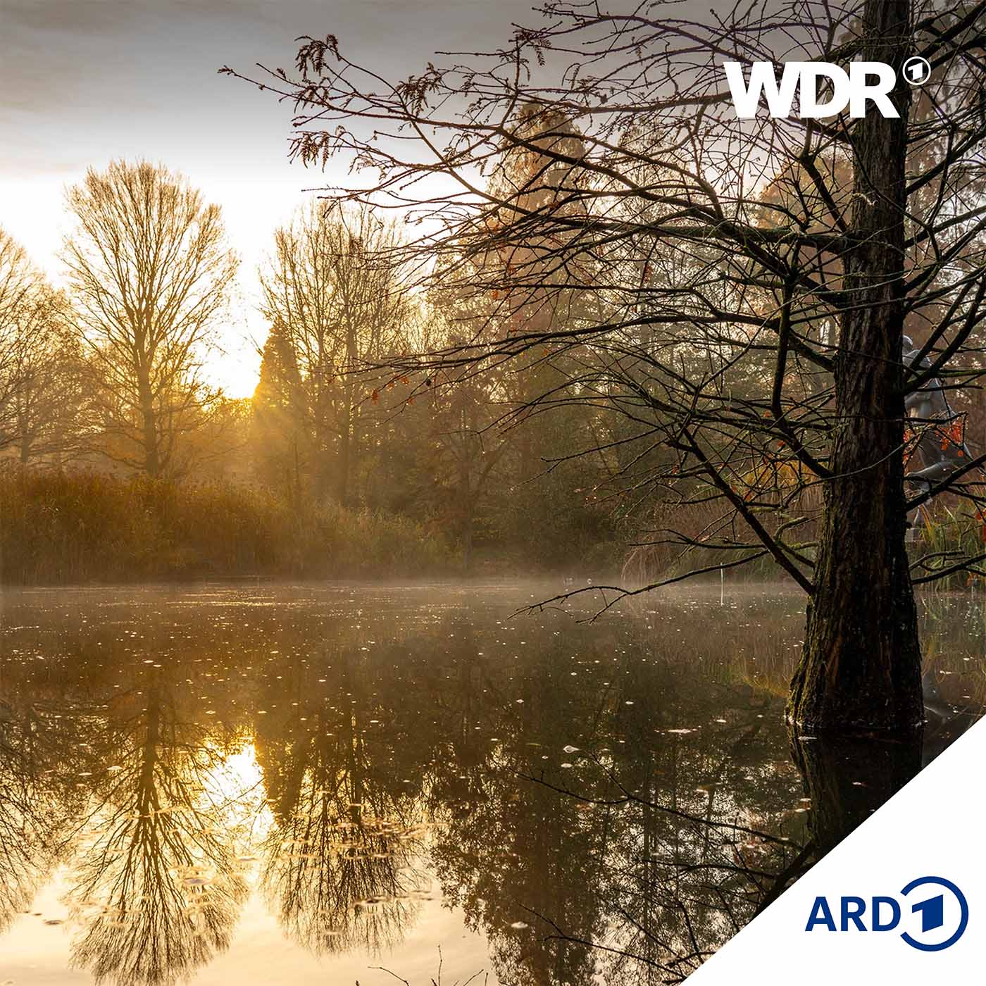 Im August ein See - Gefangen in den eigenen Kindheitserfahrungen