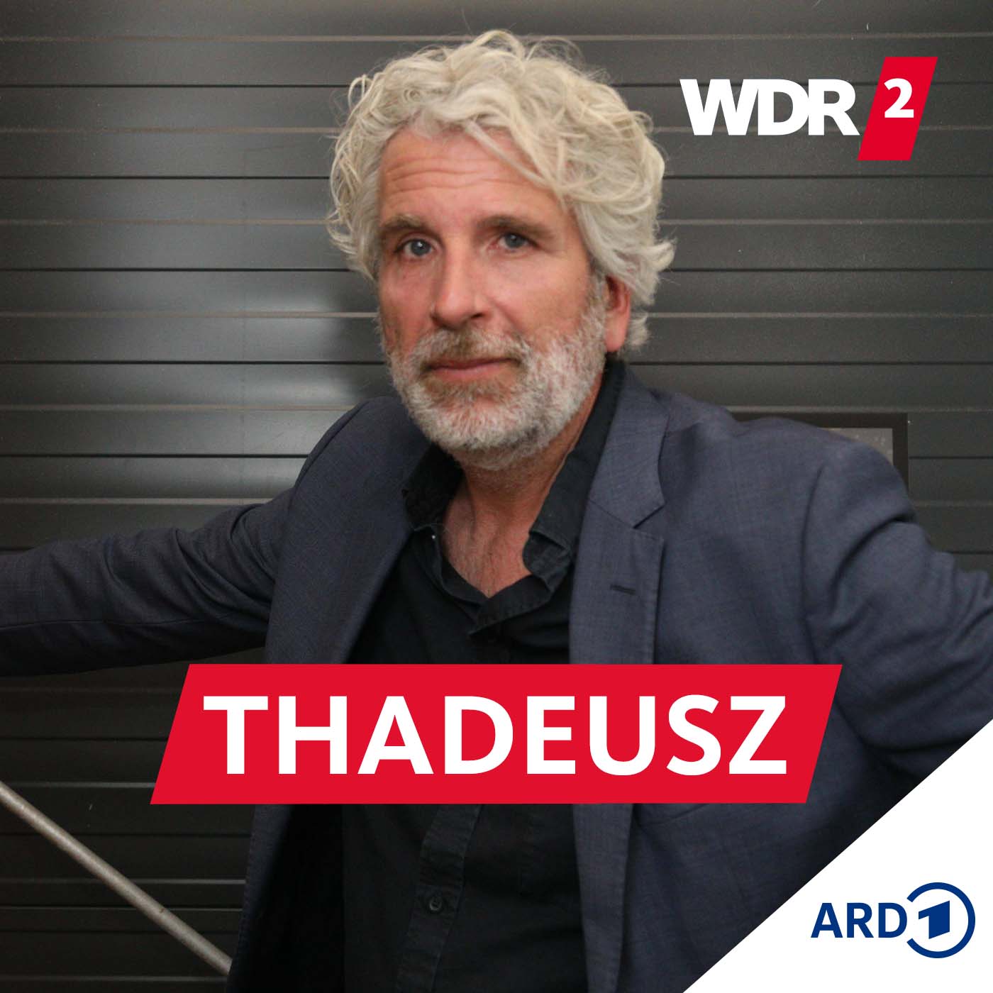 Dirk Stermann, TV-Moderator und Autor