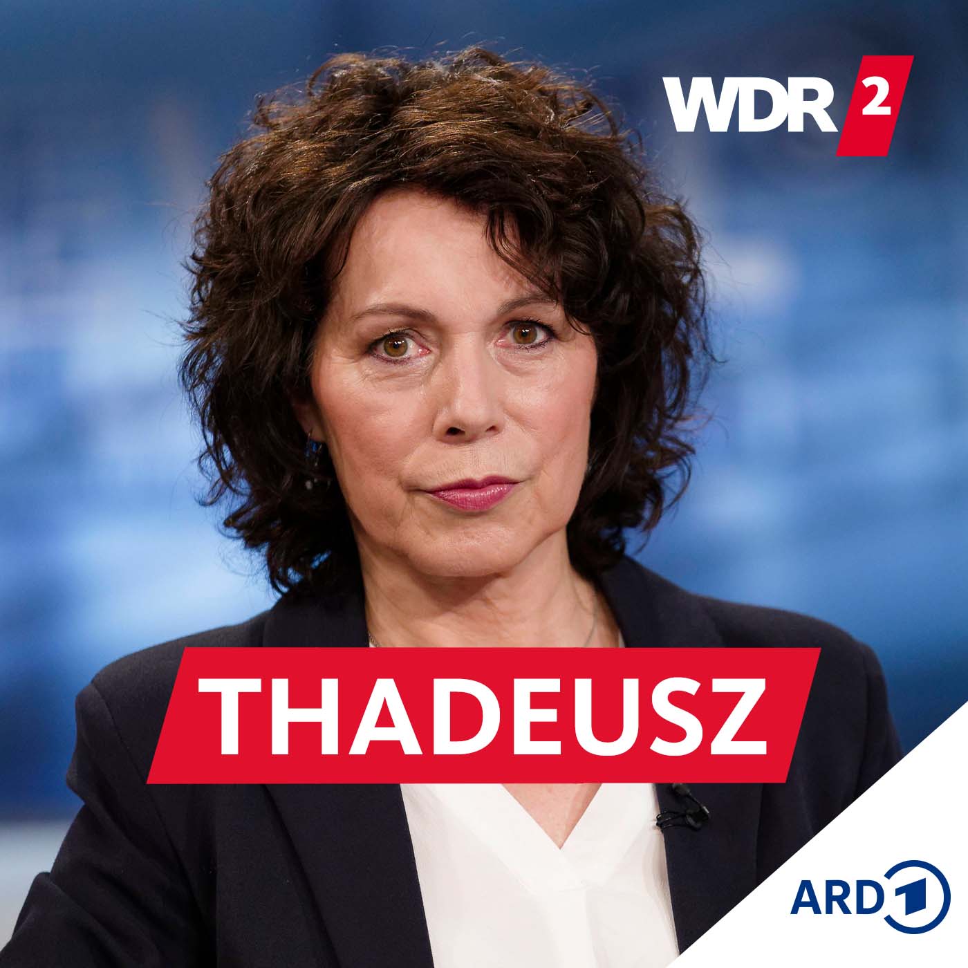 Sabine Adler, Journalistin