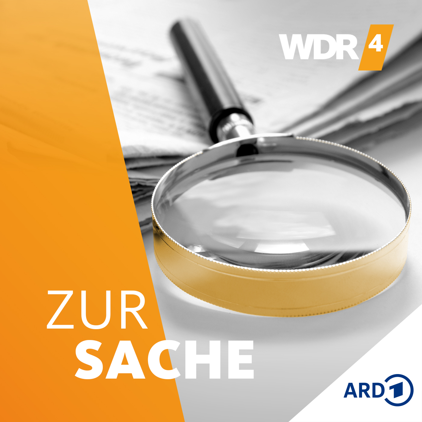 WDR 4 Zur Sache logo