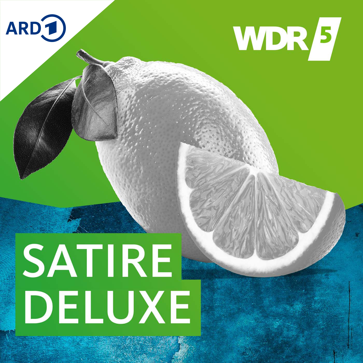 WDR 5 Satire Deluxe - Ganze Sendung logo