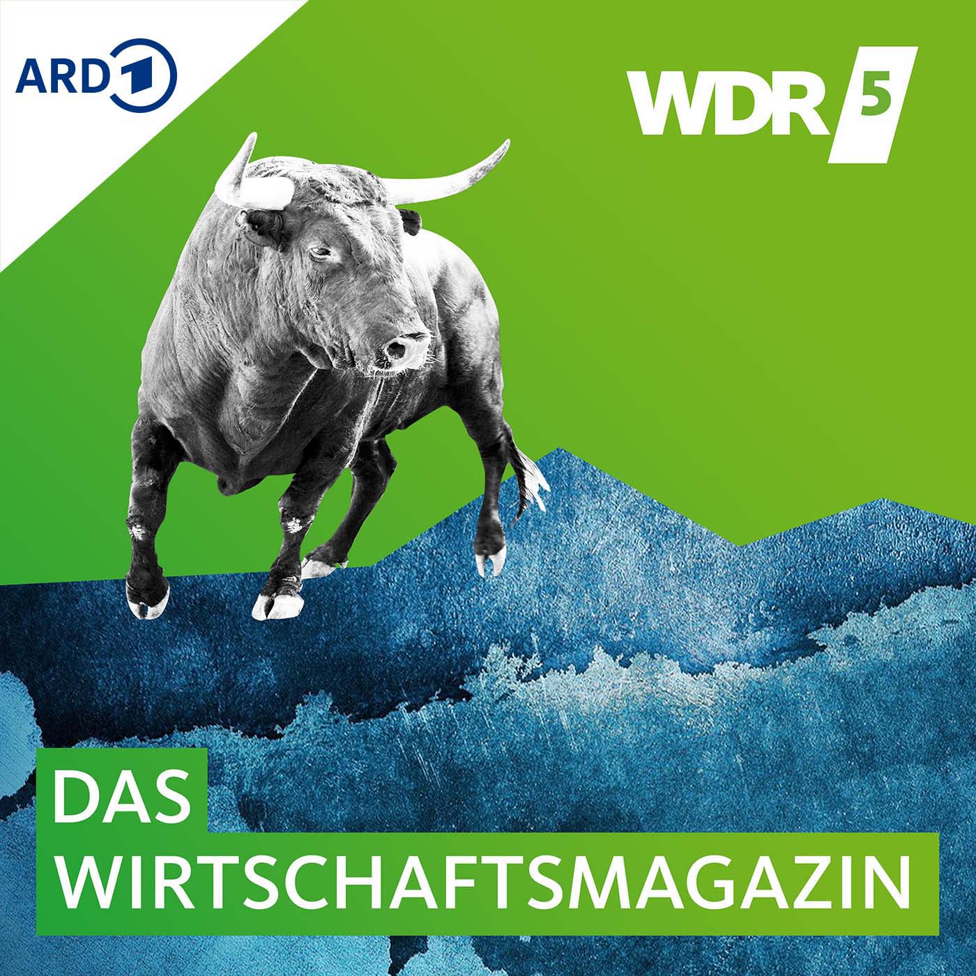 WDR 5 Profit logo