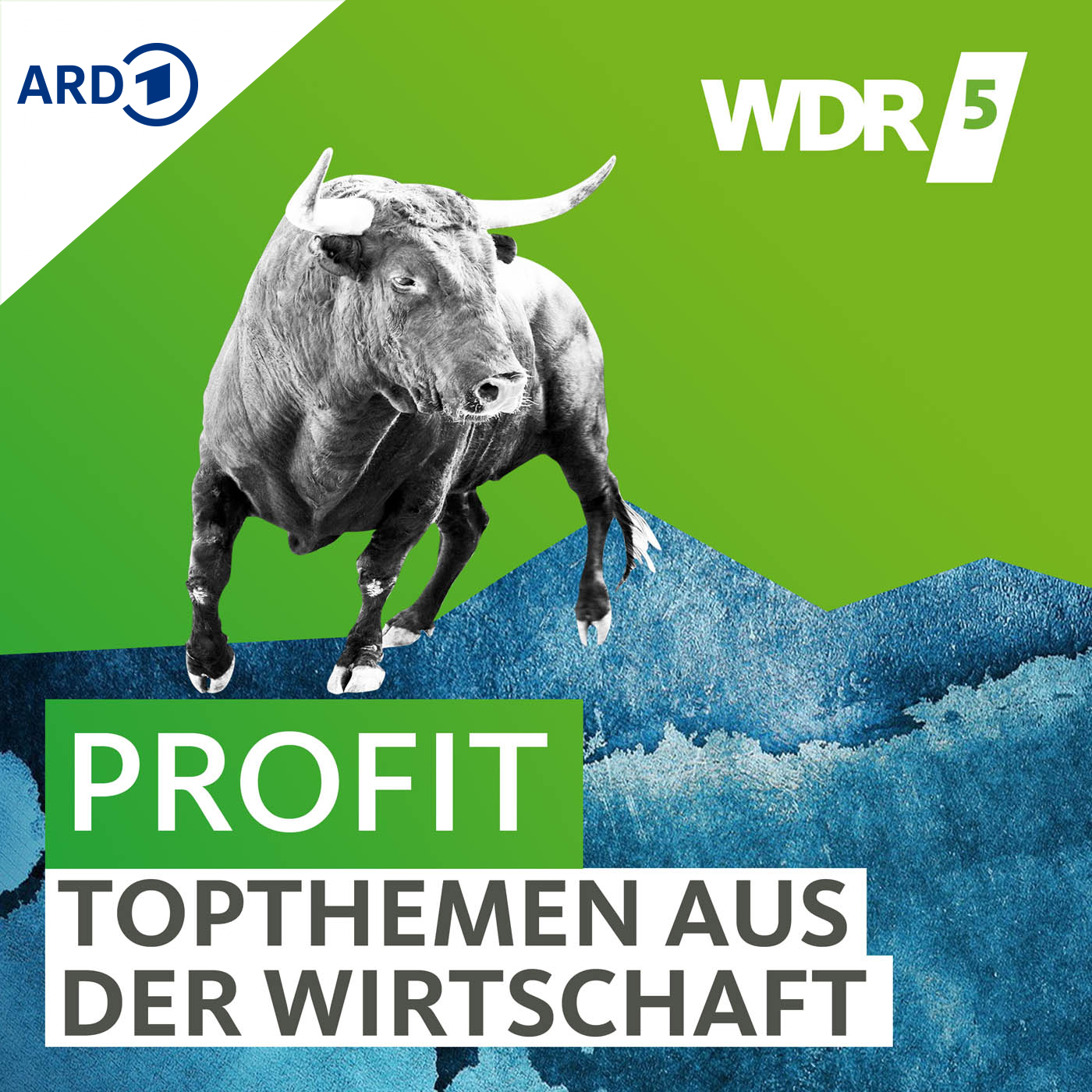 WDR 5 Profit – Topthemen aus der Wirtschaft