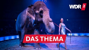 Jana Mandana Lacey-Krone in der Manege mit einem Elefanten bei der Premierenvorstellung des 3. Winterprogramms am Sonntag, den 1. März 2020 im Circus Krone in München