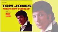 Cover: Tom Jones - What s new pussycat