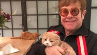 Elton John mit einer Katze auf dem Arm und im Hintergrund eine Katze auf dem Tisch