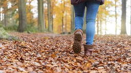 Spaziergang im Früh-Herbst auf Laub