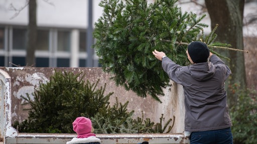 Ein Mann wirft einen alten Tannenbaum in einen Container. 