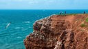 Besucher auf Lummenfelsen der Insel Helgoland.