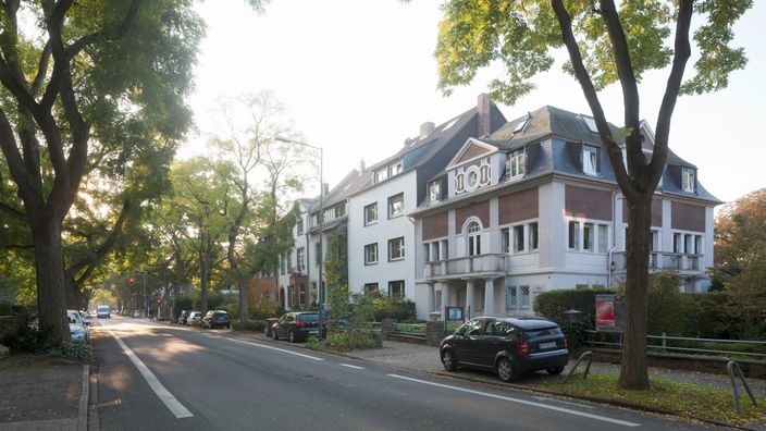 Robinienallee mit Baumlücken, Rechts die "Villa Merländer", NS-Dokumentationszentrum.