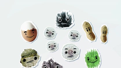 Verschiedene Allergien als Emojis dargestellt.
